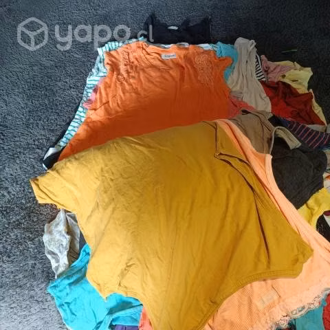 Lote de 25 poleras