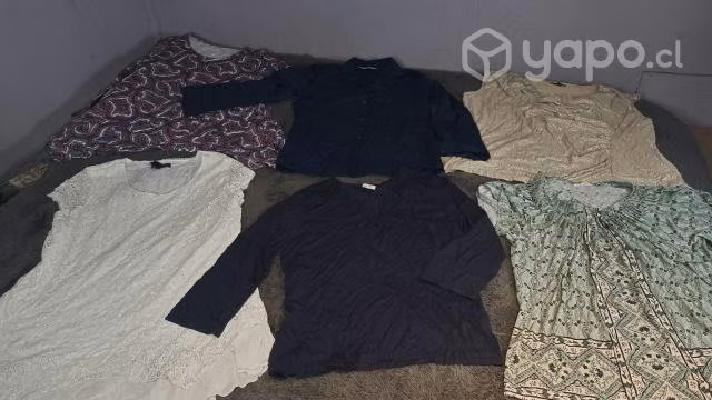 Lote de 25 poleras