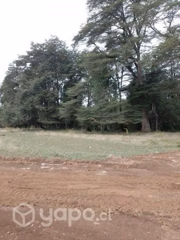 Parcela en Loncoche, ruta Loncoche-Calafquén - Imagen 5