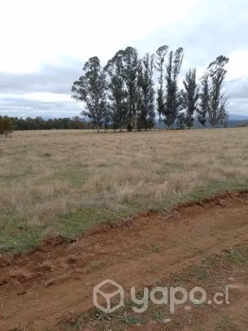 Parcela en Loncoche, ruta Loncoche-Calafquén - Imagen 13