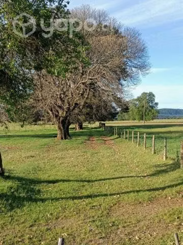 Parcela en Loncoche, ruta Loncoche-Calafquén - Imagen 9