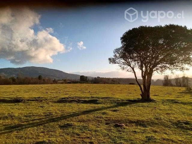 Parcela en Loncoche, ruta Loncoche-Calafquén - Imagen 4
