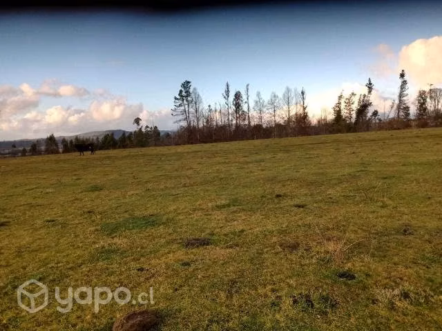 Parcela en Loncoche, ruta Loncoche-Calafquén - Imagen 6