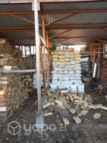 Leña en saco seca de bodega - Imagen 2