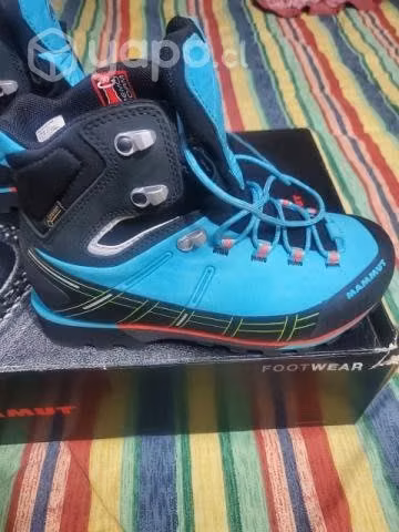 Mammut