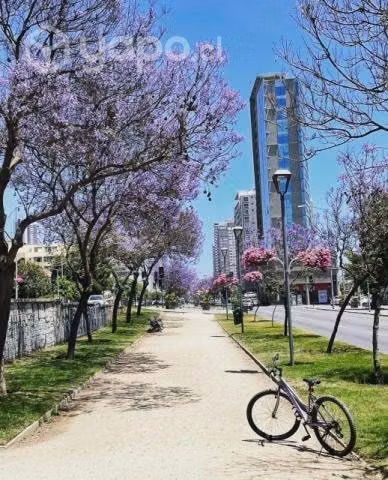 Bicicleta Ofort aro 27.5