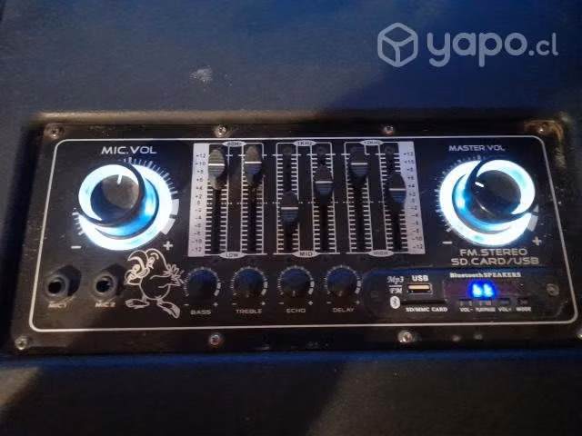 Parlante con radio BT .entrada USB .y SD CARD