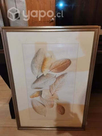 Cuadros