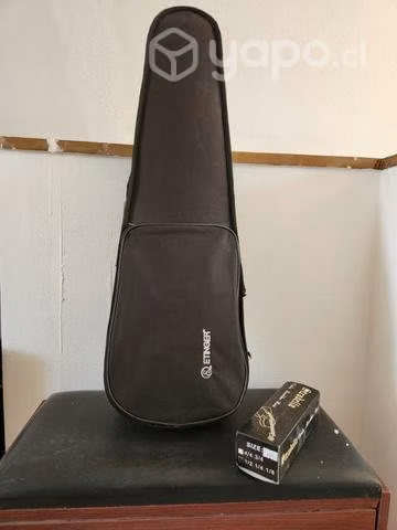 Violin etinger + cambio de cuardas + soporte