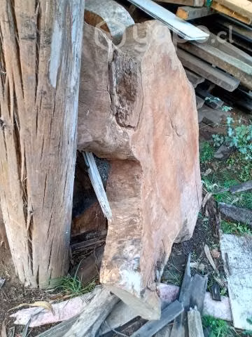 Rodajas nativos