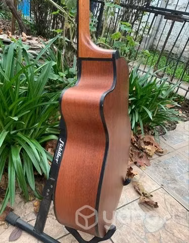 Bajo Electroacústico Hecho por Luthier