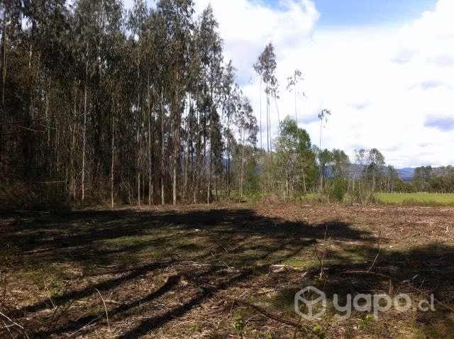 Excelente terreno plano, seguro y tranquilo