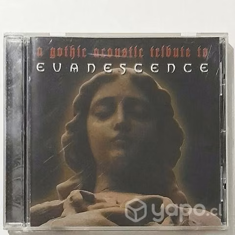 A Gothic Acoustic Tribute To Evanescence