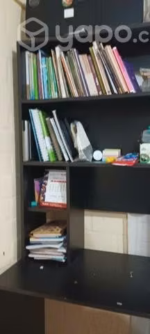 Escritorio y librero