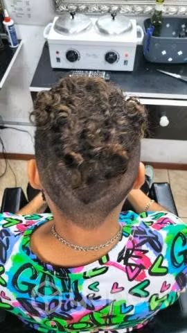 extensiones