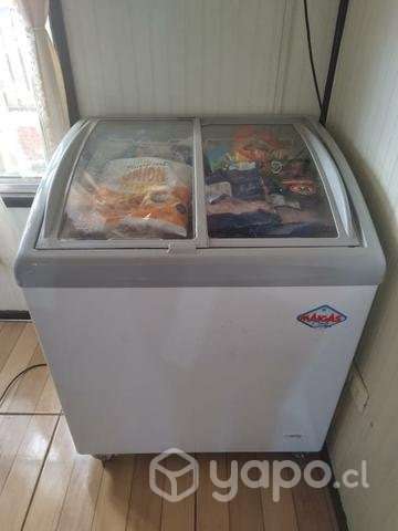 Congeladora maigas 160 litros impecable - Imagen 2