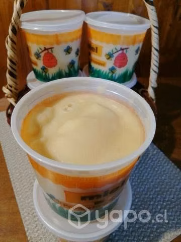 Miel de ulmo
