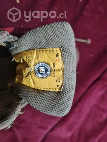 Zapatos Cat