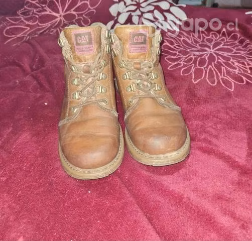 Zapatos Cat