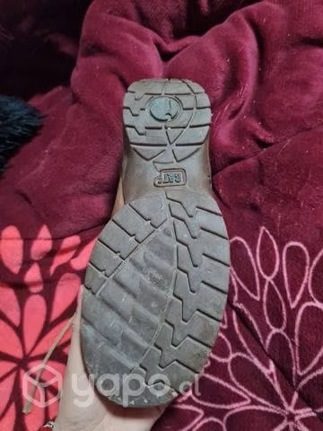 Zapatos Cat