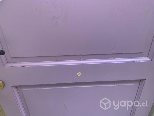 Puerta de exterior de pino radiata con chapas
