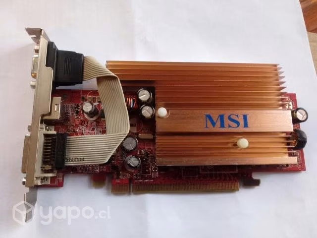 Tarjeta video msi 256mg