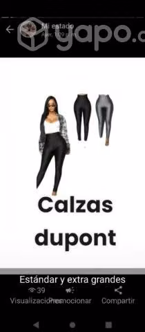 CALZAS Dupont