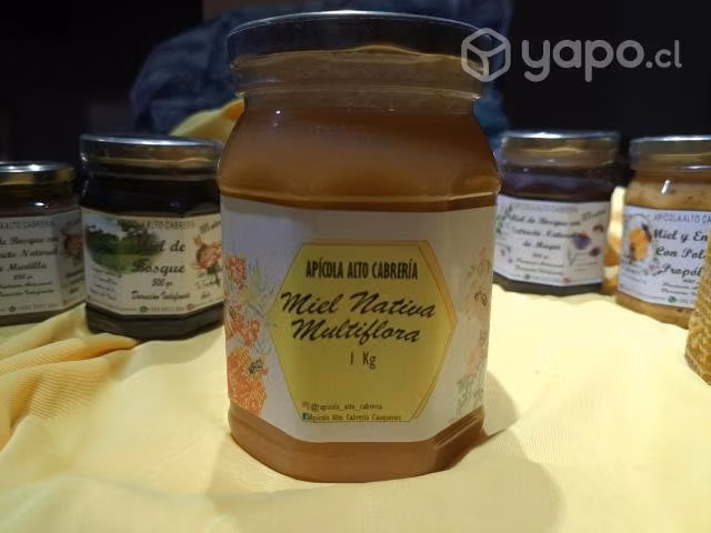 Miel 100% pura cordillerana directo del apicultor