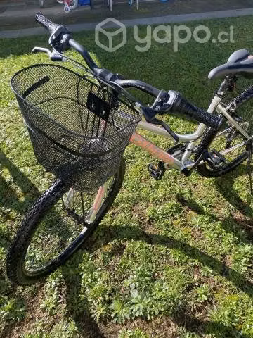 Bicicleta Oxford de mujer