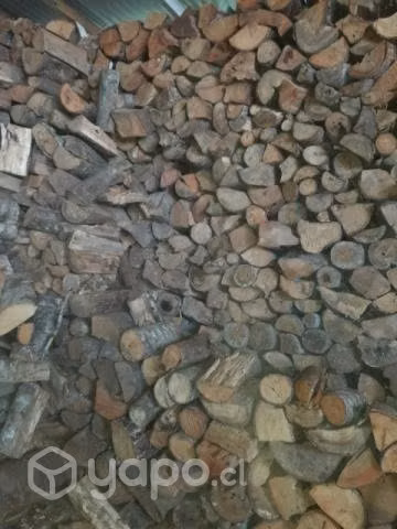 Leña seca brosa