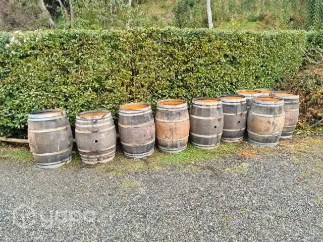 Barril pipas de vinos . Roble francés 225 lt