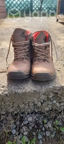 Zapatos lippi
