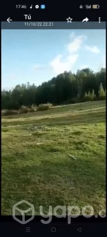 3 hectáreas