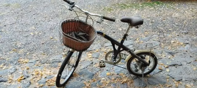 Bicicleta Lahsen - Imagen 2