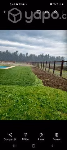 Jardines y mantenimiento de áreas