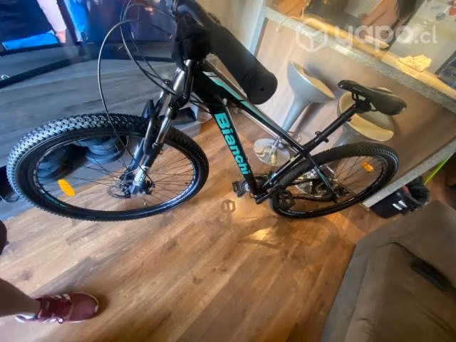 Bicicleta bianchi