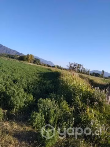 Parcela 7430 m2, llavería, las cabras - Imagen 2