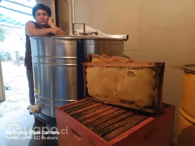 Miel pura de abejas