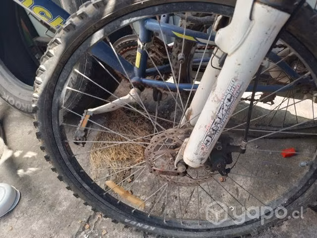 Bicicletas oxford