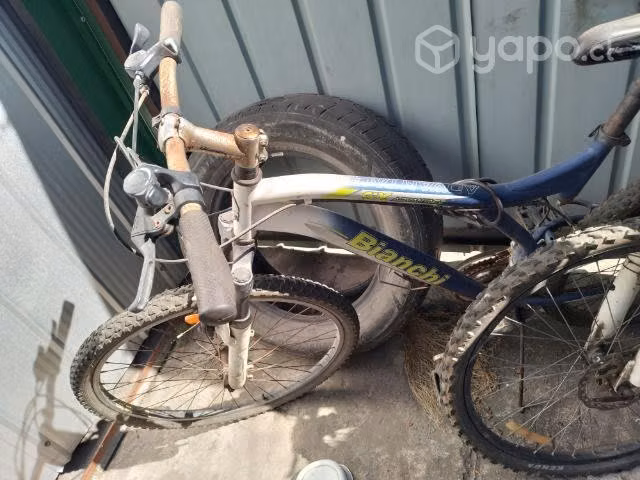 Bicicletas oxford