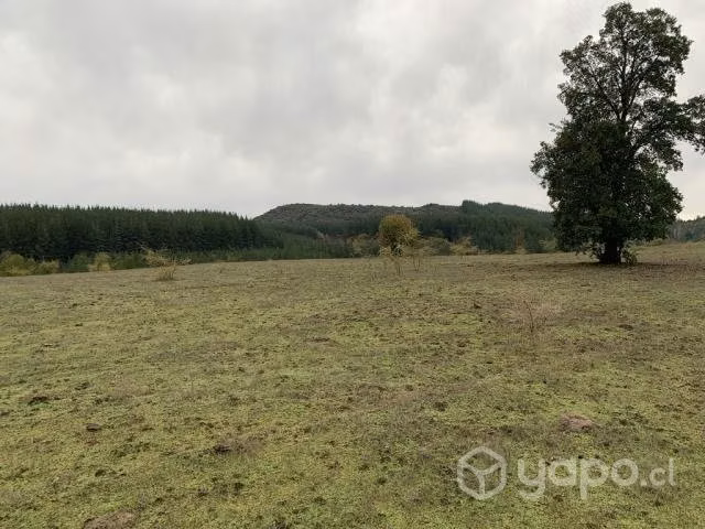 Parcelas de 5.000 mts2 en Región del Maule