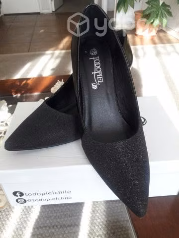 zapato elegante