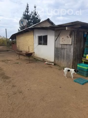 1 hectárea con casa