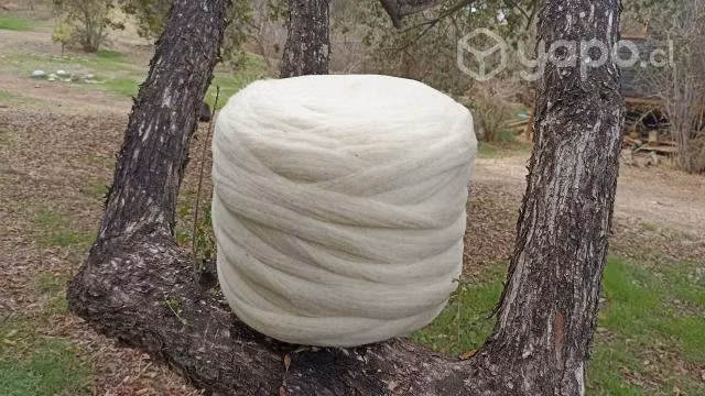 Vellón de Lana de oveja