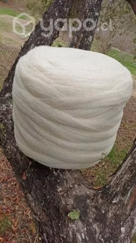 Vellón de Lana de oveja