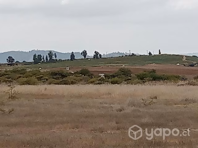 Parcelas 50 %de descuento en la reserva