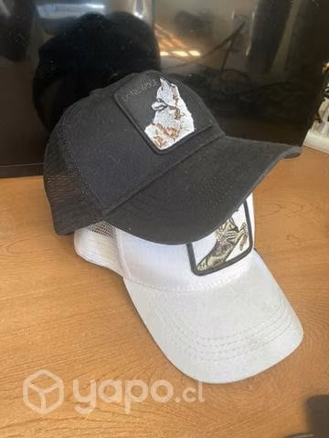 2 gorros x 6.000