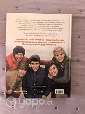 Libro oficial de One Direction