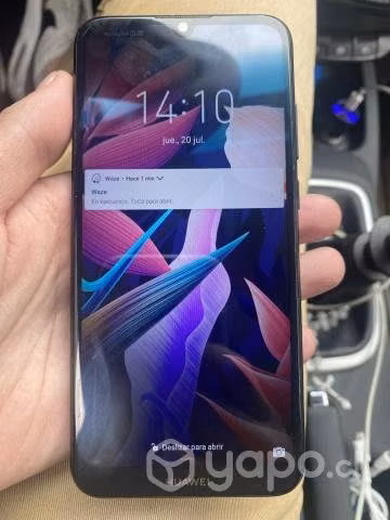 Y6 2019