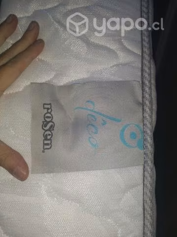 Cama Rosen